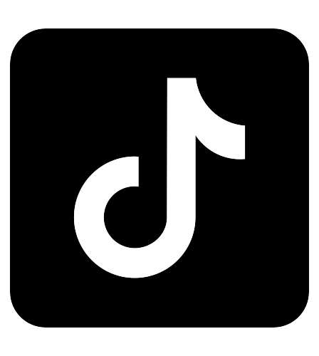 tiktok icon